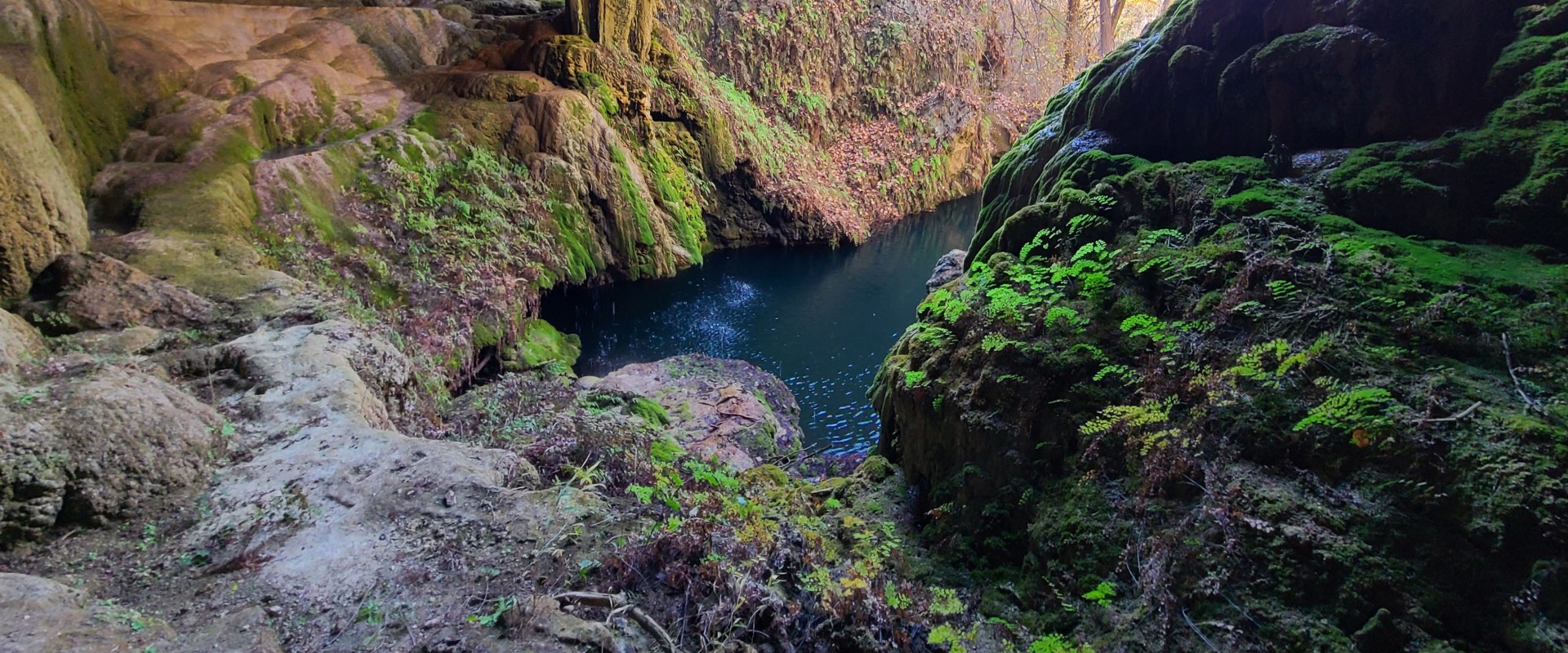 Unlock the Best Free Things to Do in Dripping Springs