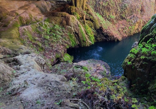 Unlock the Best Free Experiences in Dripping Springs
